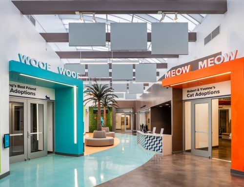 San Diego Humane Society